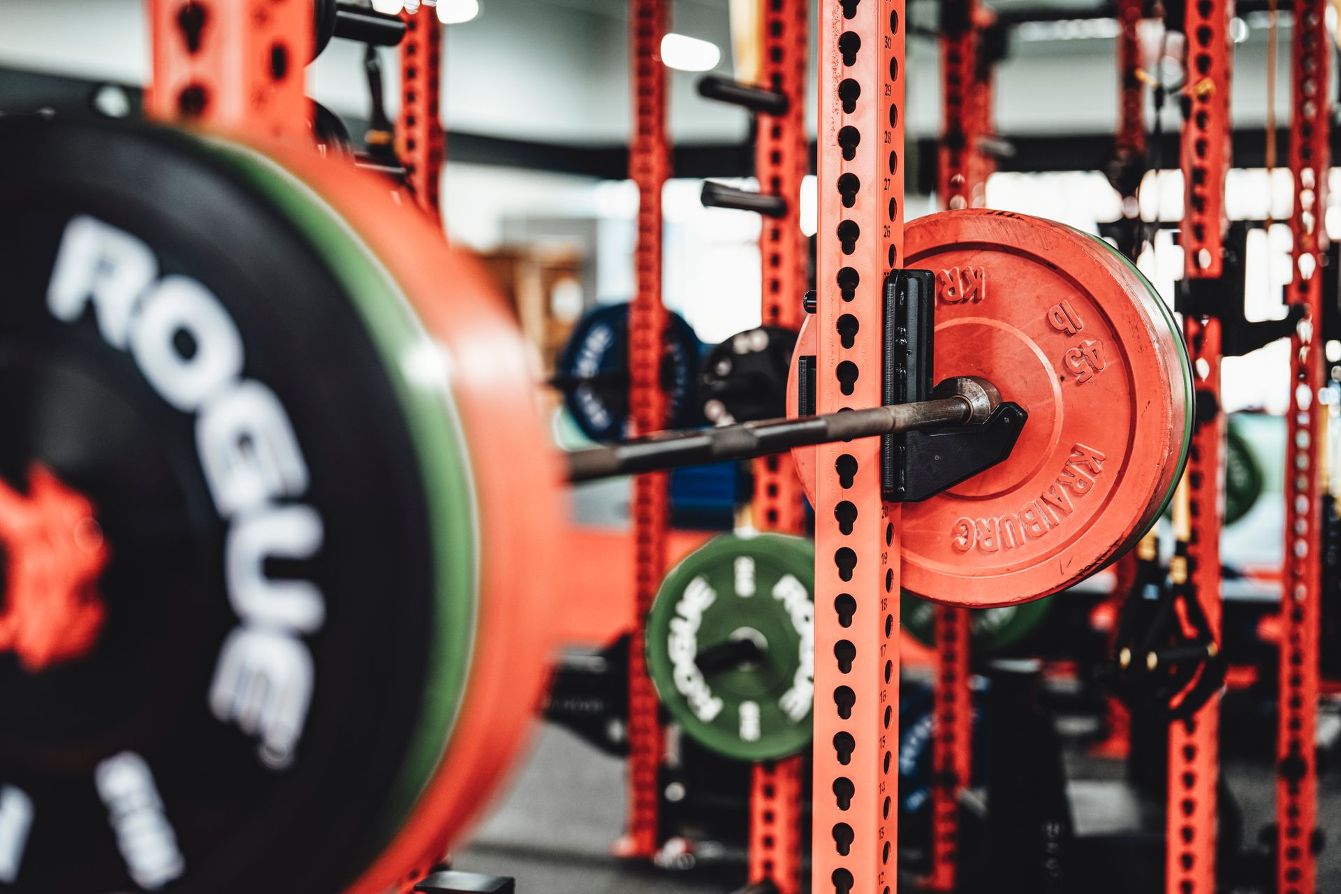 Barbell loaded with weight plates on a power rack